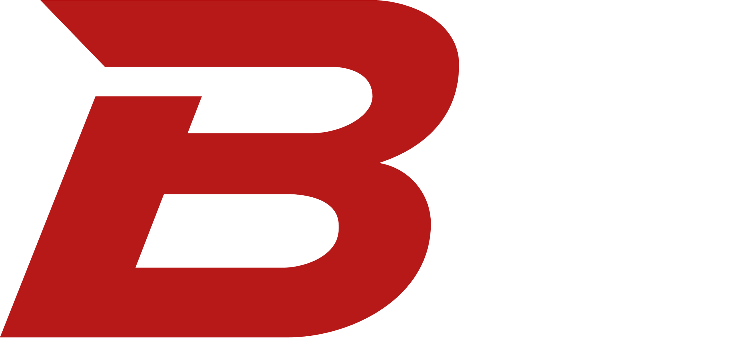 bryangiunta.com